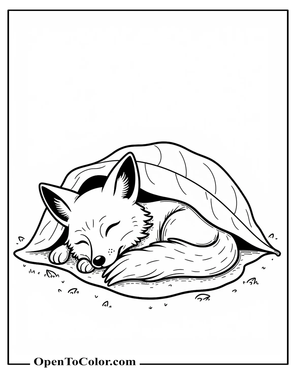 Free Coloring Page of a Baby Fox Curled Up Sleeping Under a Leaf