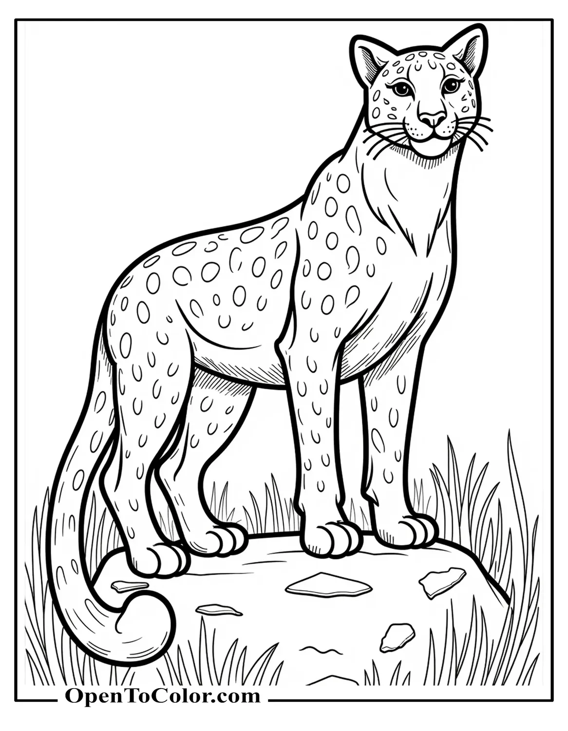 Printable coloring page of a big jungle cat standing on a rock with a long tail.