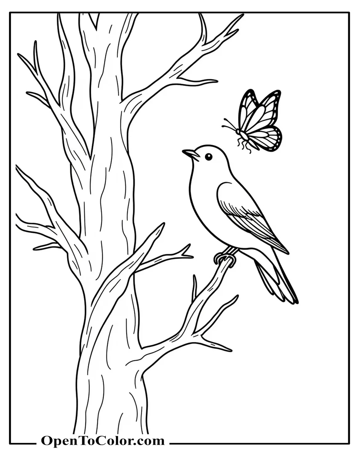 Printable coloring sheet of a songbird and a butterfly sharing intertwined tree branches.
