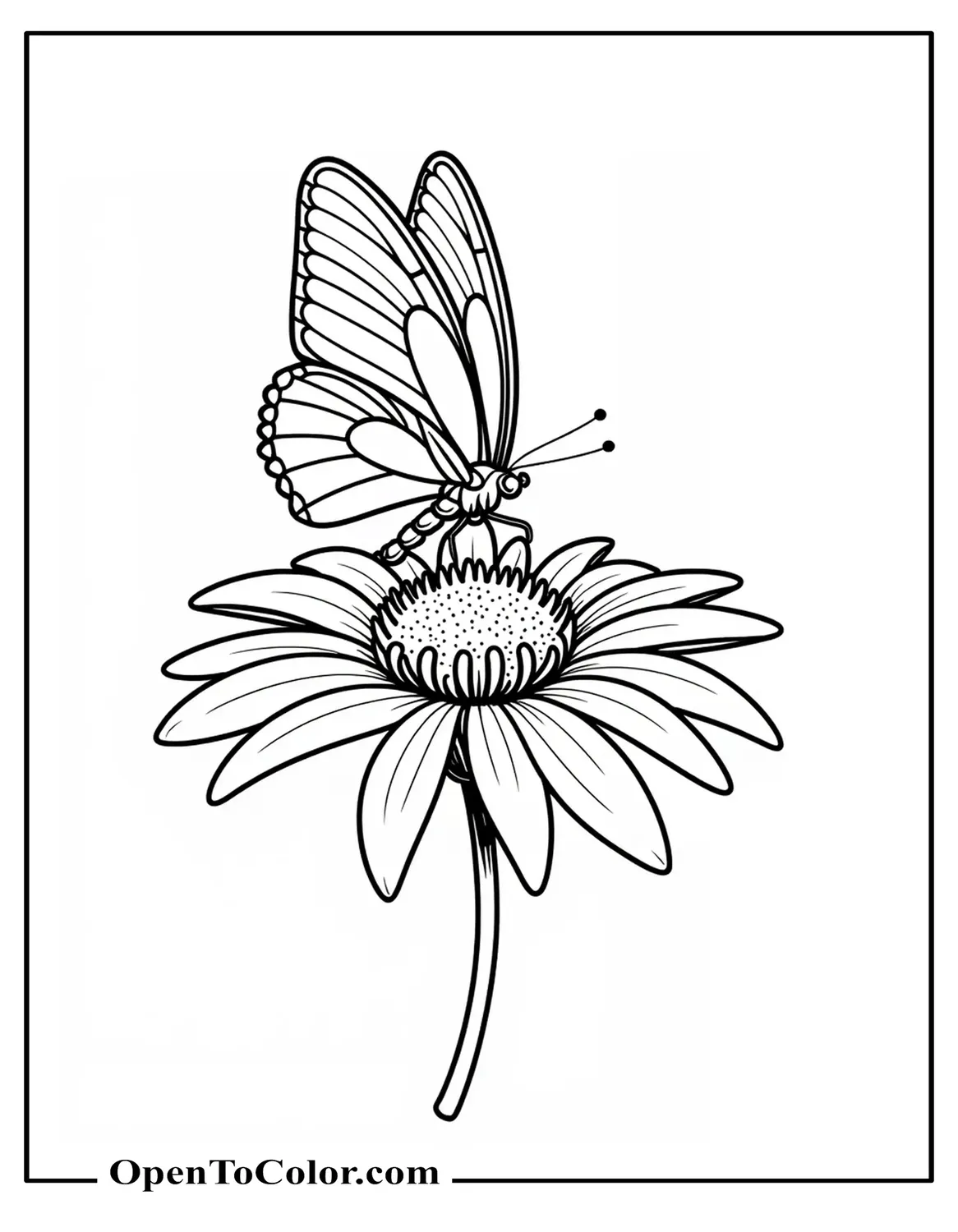 Butterfly Settled on the Center of a Daisy, Printable Coloring Page, Petals Drifting