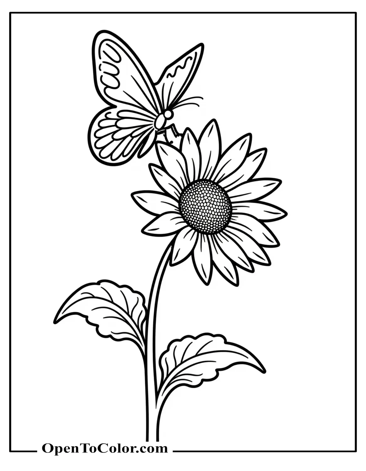 Butterfly Hovering Just Above A Tall Sunflower Head Coloring Page Printable
