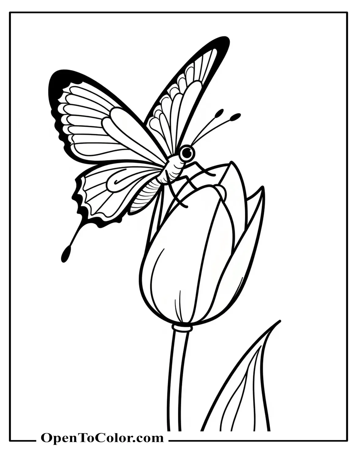 Butterfly Poised on an Open Tulip, Wings Angled Forward, Coloring Sheet PDF