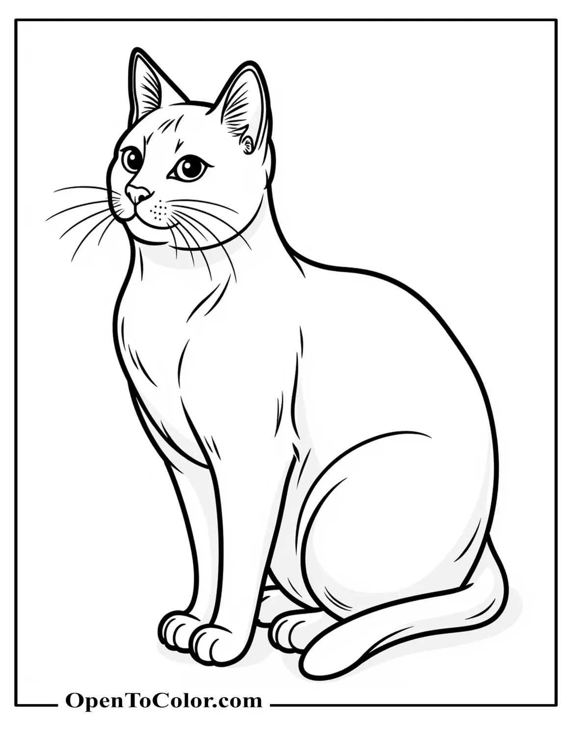 Printable Coloring Sheet Outline of Sitting Cat with No Patterns or Textures
