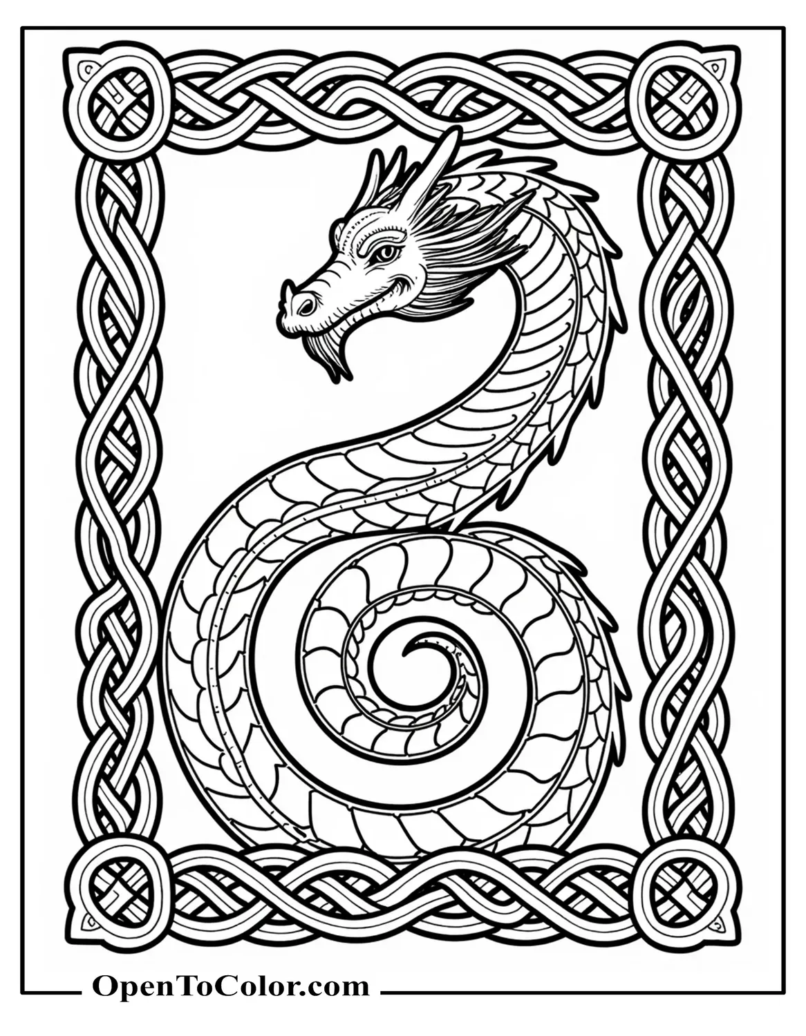 Intricate dragon coloring page tangled within printable Celtic knot border