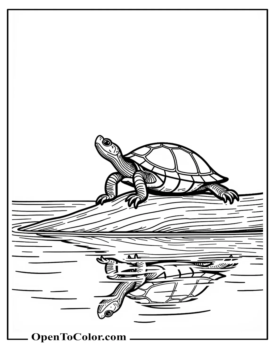 Eastern River Turtle Coloring Sheet Printable Basking on a Fallen Tree Trunk Above Calm Water