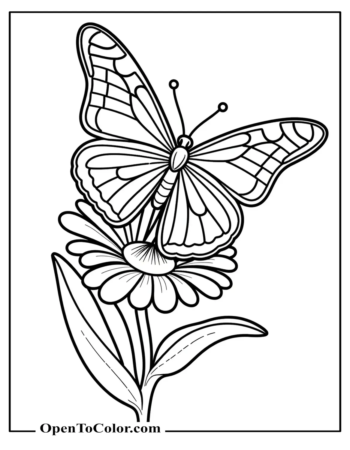 Butterfly Resting On A Flower With Open Wings Coloring Sheet PDF