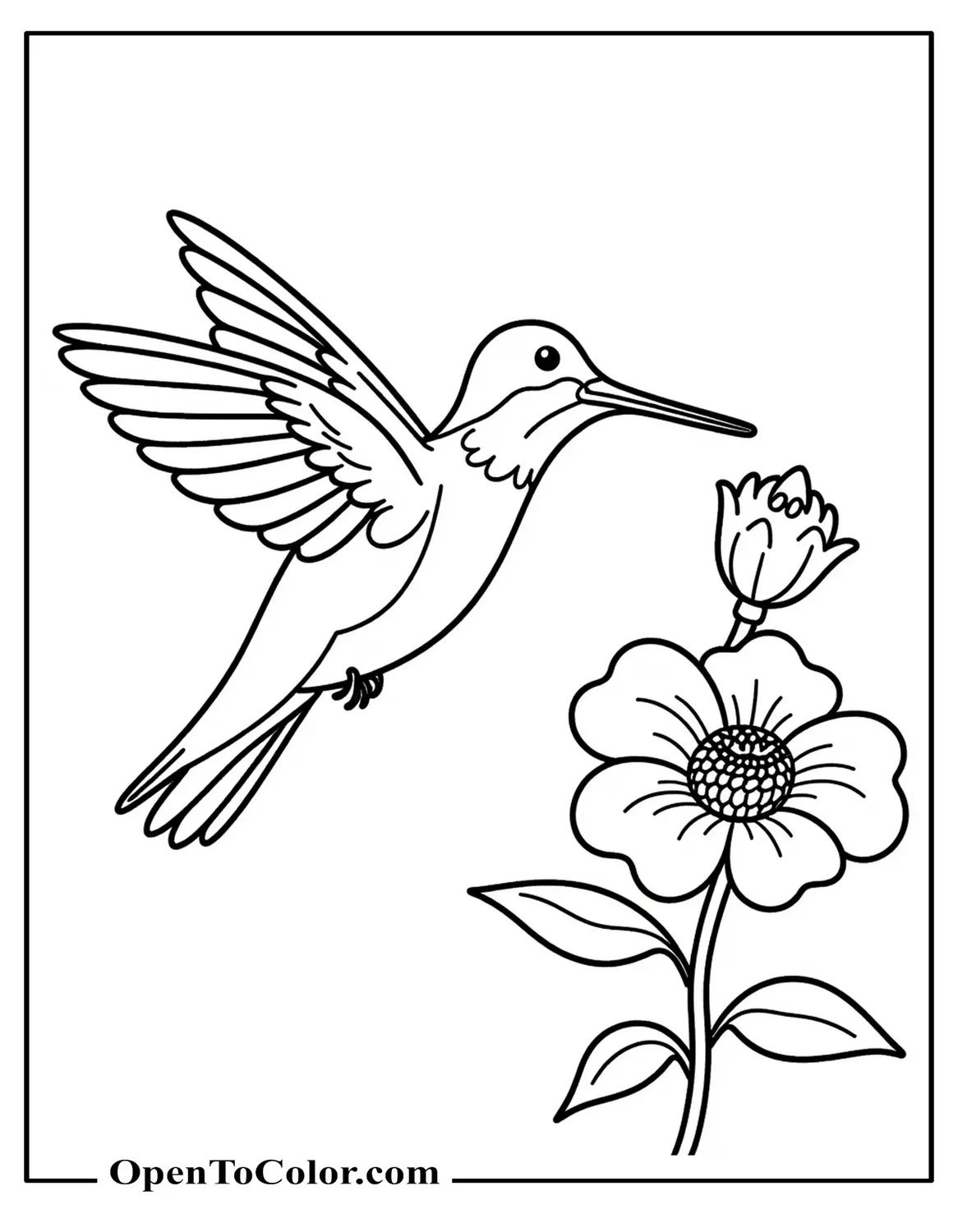 Printable Coloring Sheet of Hummingbird Hovering Near Flower With Beak Inside