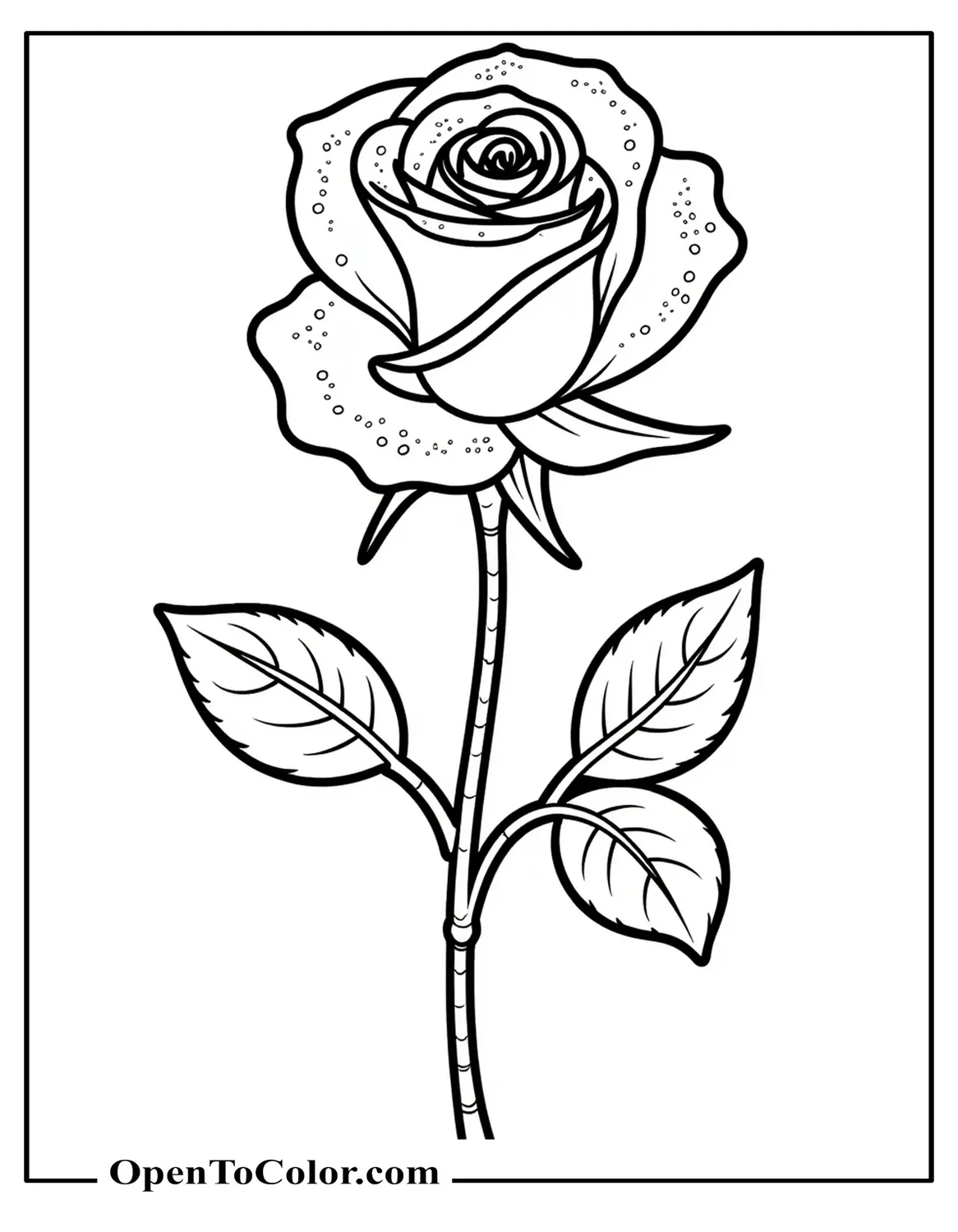 Close-Up of a Rose with Dewdrops on Petals, Printable Coloring Sheet