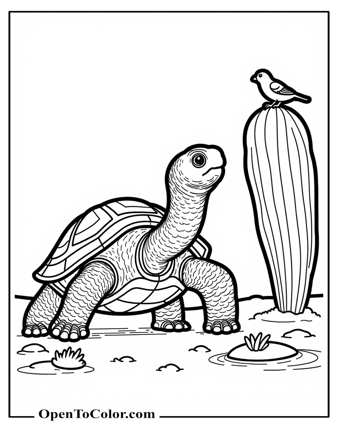 Free Coloring Sheet of Galapagos Tortoise Gazing Up at a Tall Cactus with a Small Finch Nearby