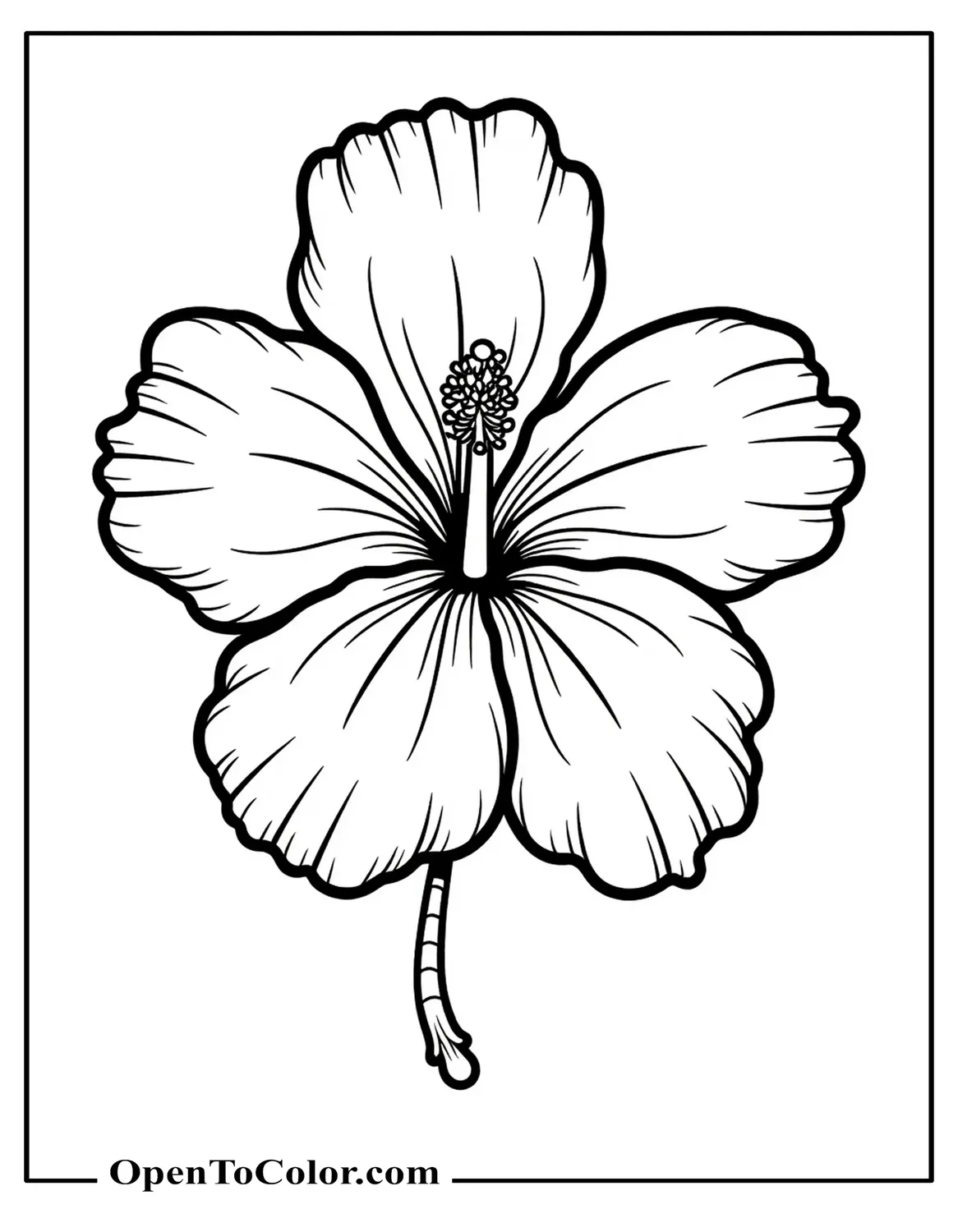 Hibiscus Flower Coloring Sheet With Large Open Petals And Visible Stamen PDF