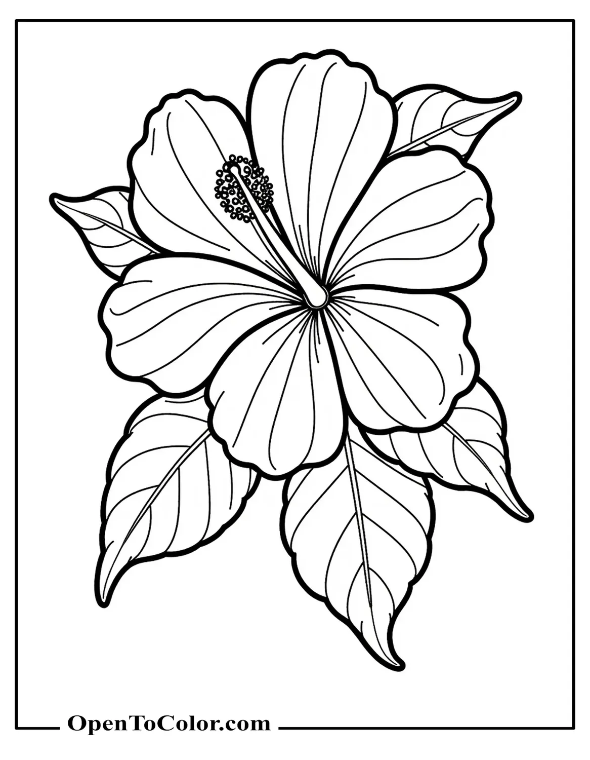 Free Coloring Sheet of Hibiscus with Wide Petals and Leafy Background