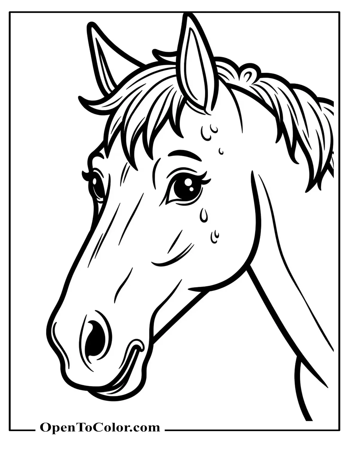 Horse face close-up coloring page, gentle eyes and freckles PDF
