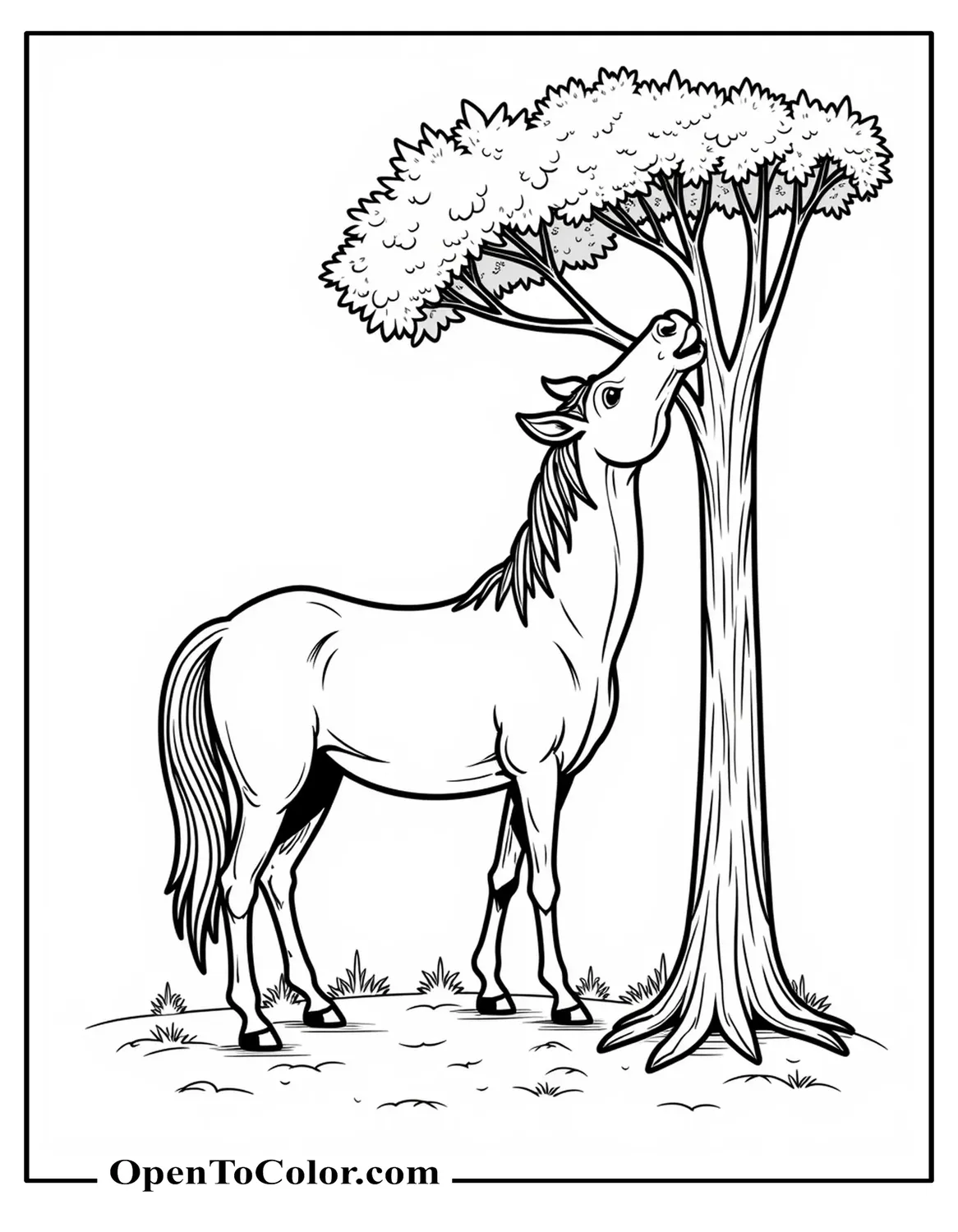 Long Horse Stretching Neck To Nibble Leaves From Tall Tree Coloring Page PDF
