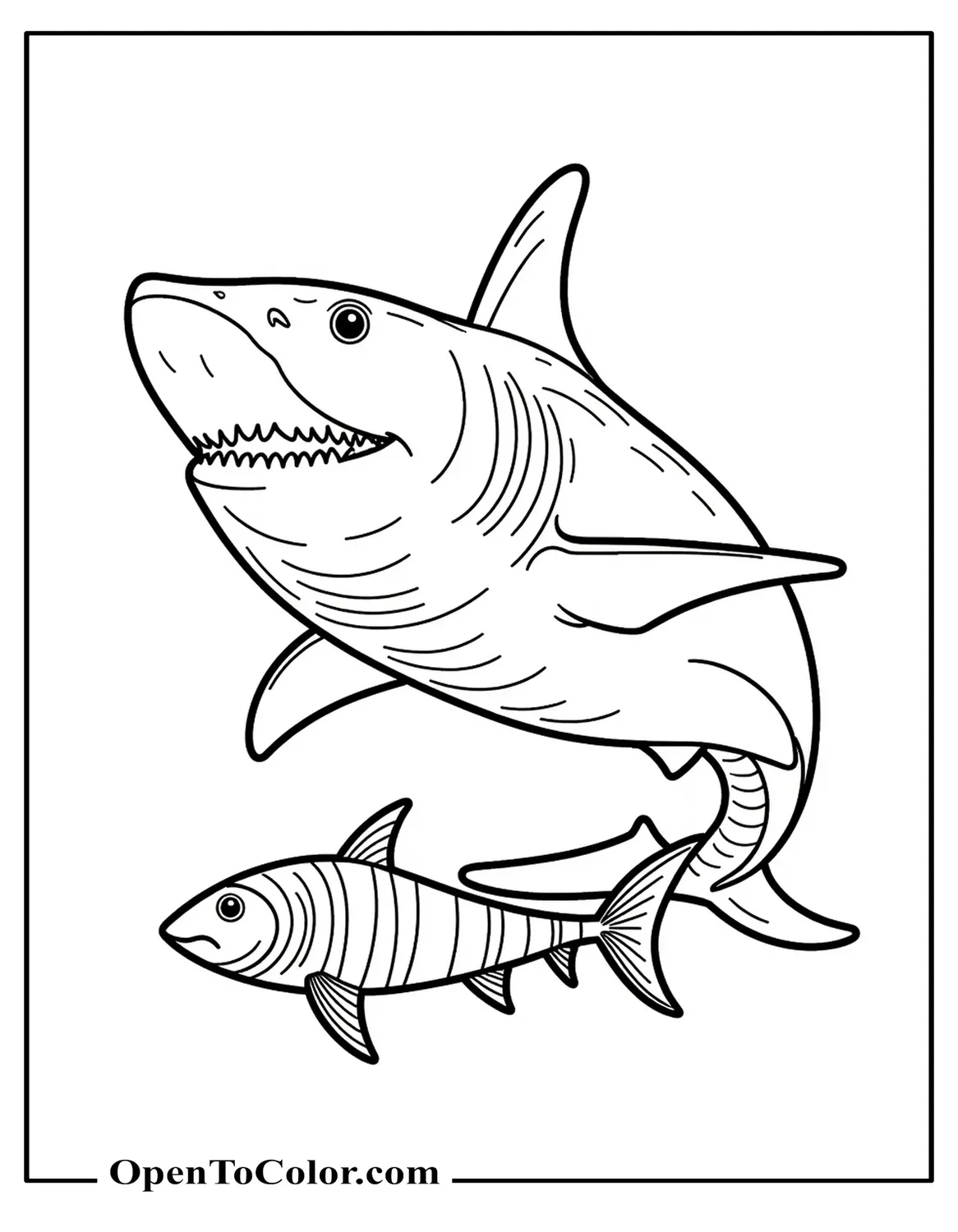 Printable coloring sheet of a massive Megalodon behind a small striped fish for scale.