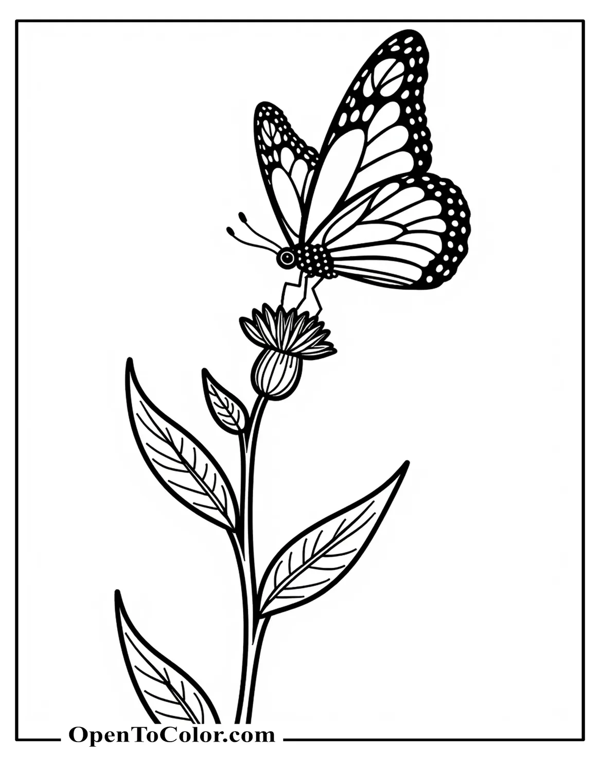 Monarch Butterfly Coloring Sheet PDF Gliding Over a Milkweed Stem in Side View