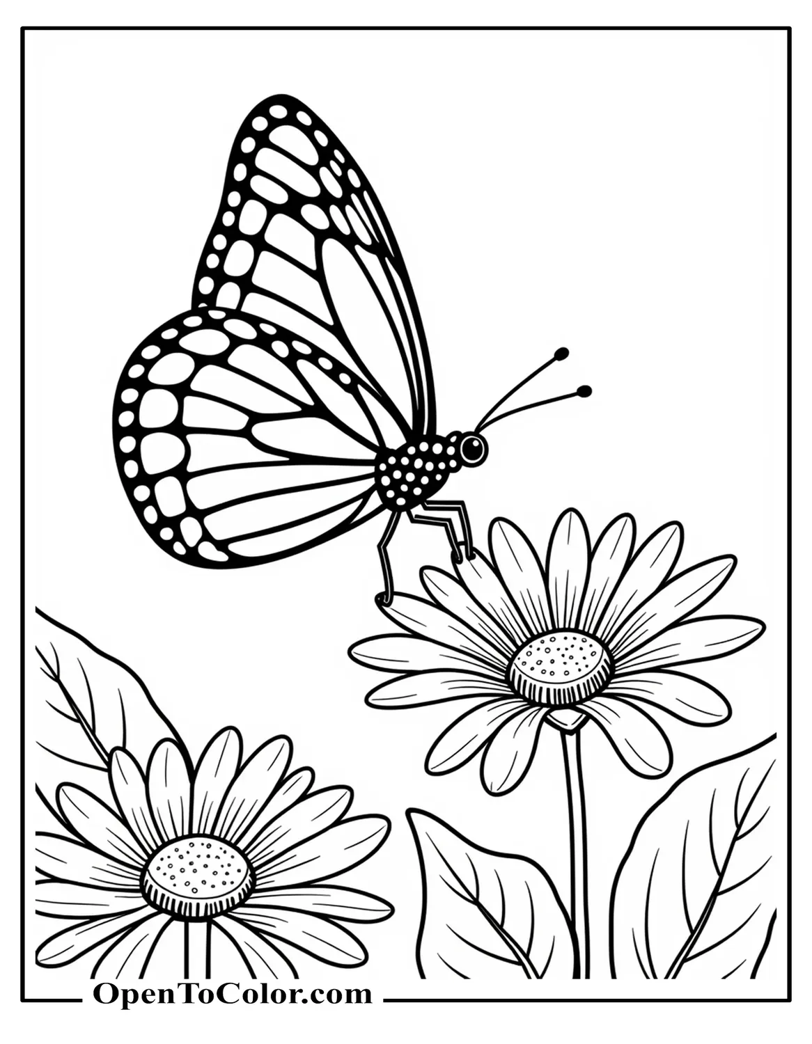 Monarch Butterfly Coloring Page, Summer Themed Background, PDF