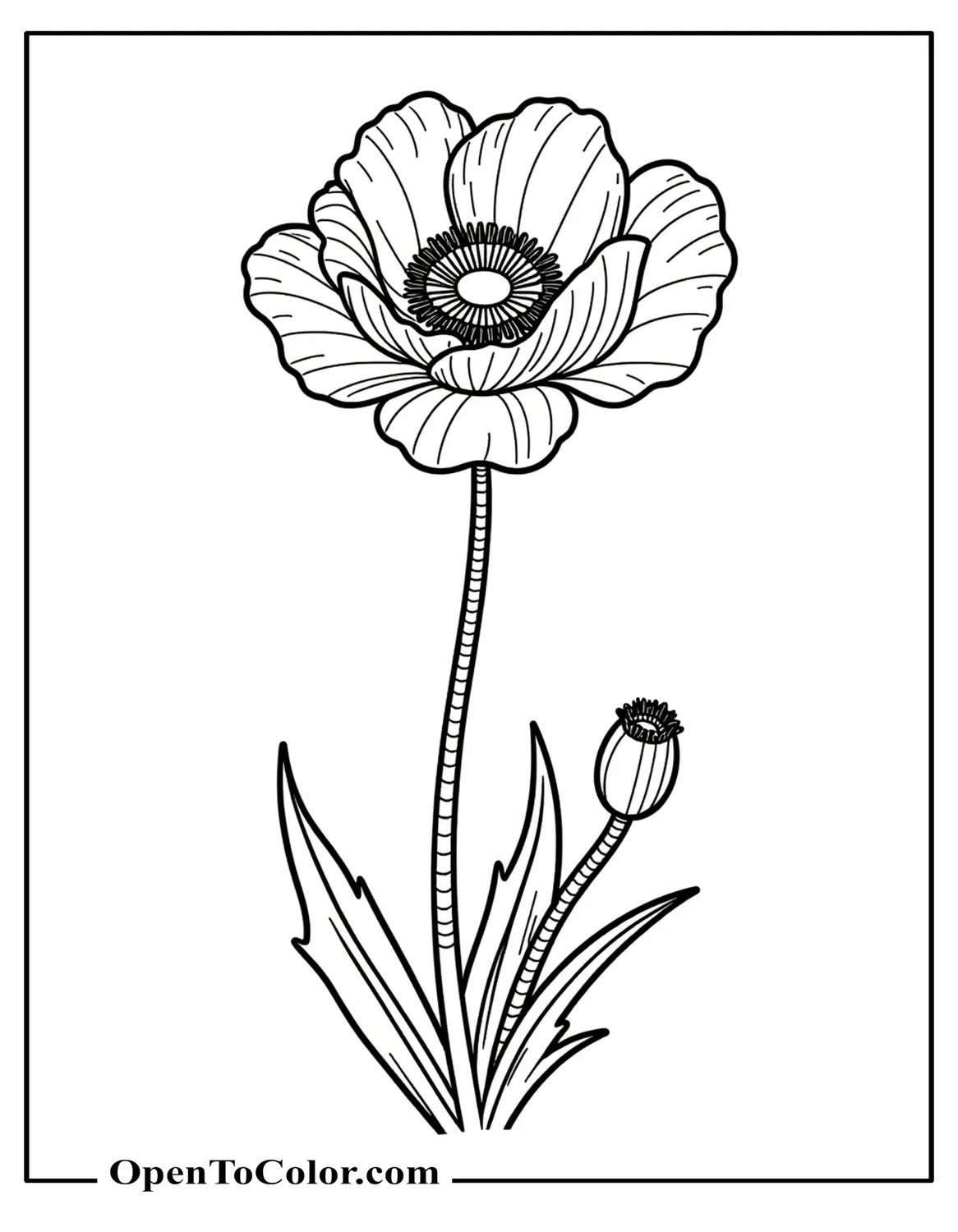 Printable Coloring Page of Poppy Flower with Drooping Petals and Thin Stem