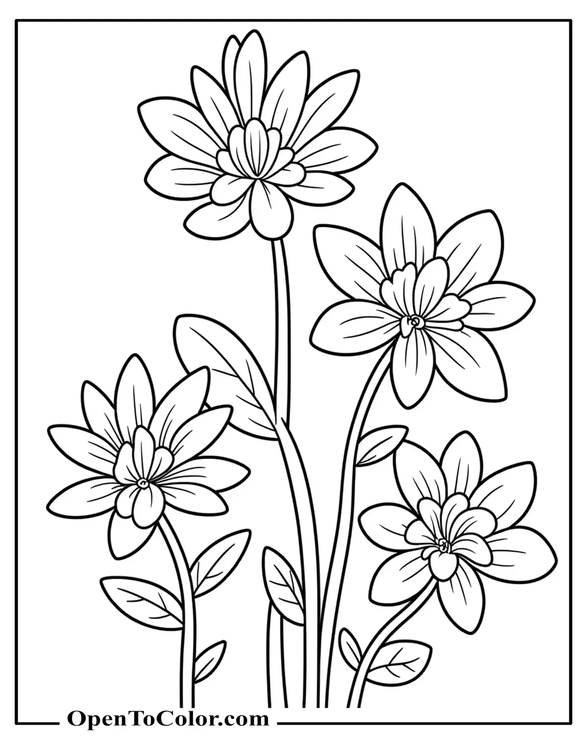 Five different flowers arranged in a coloring sheet PDF layout