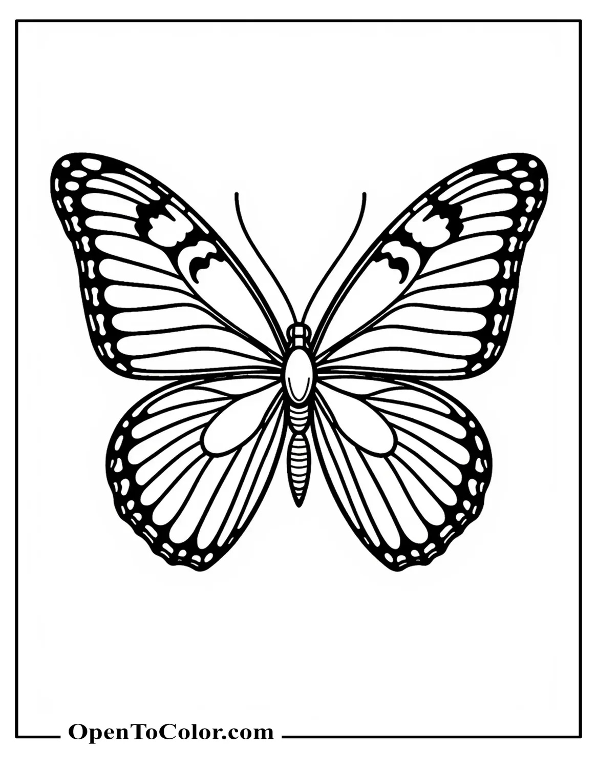 An unusually elaborate butterfly coloring page showcasing rare radial wing patterns, printable.