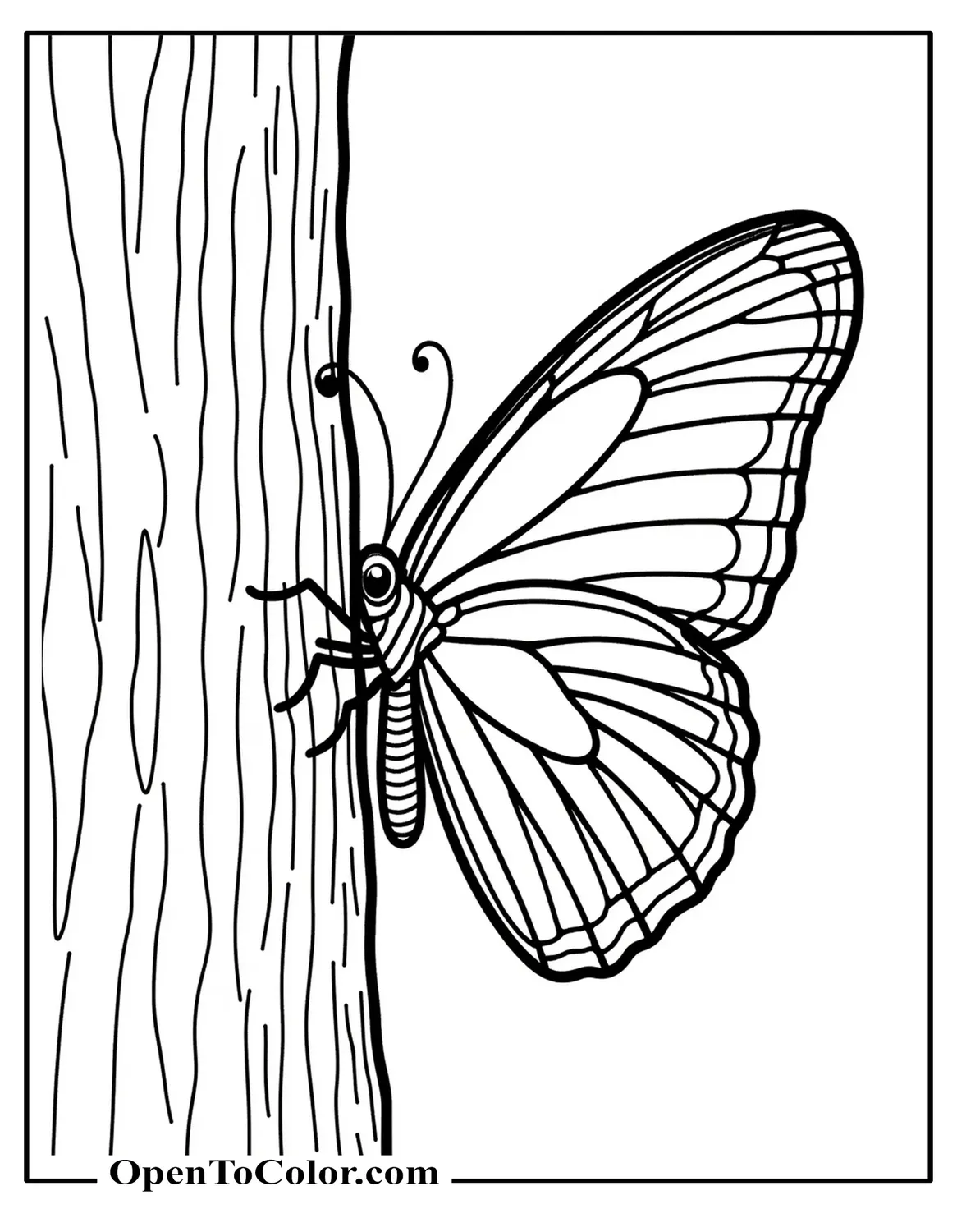 Free Realistic Butterfly Coloring Sheet Resting on the Rough Bark of a Tree Trunk