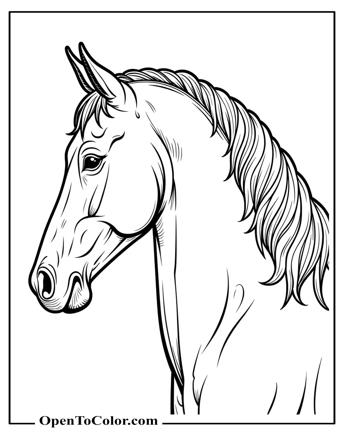Free Coloring Page: Detailed Realistic Horse Portrait, Muscular Profile