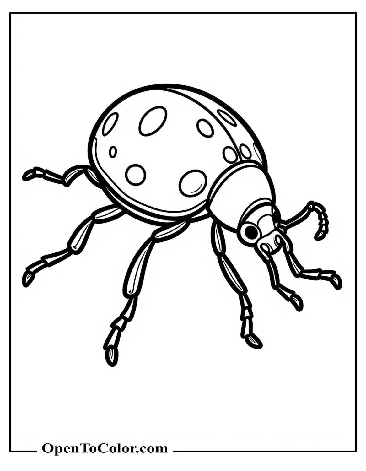 Realistic Ladybug Insect Close-Up Coloring Page PDF Showing Fine Leg Hairs