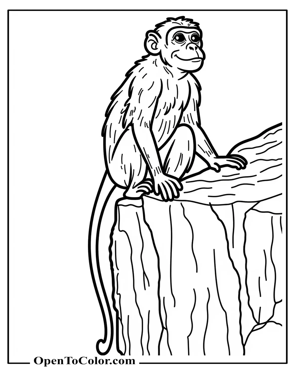 Realistic Macaque Coloring Sheet Printable Perched on Rocky Cliff Looking Sideways