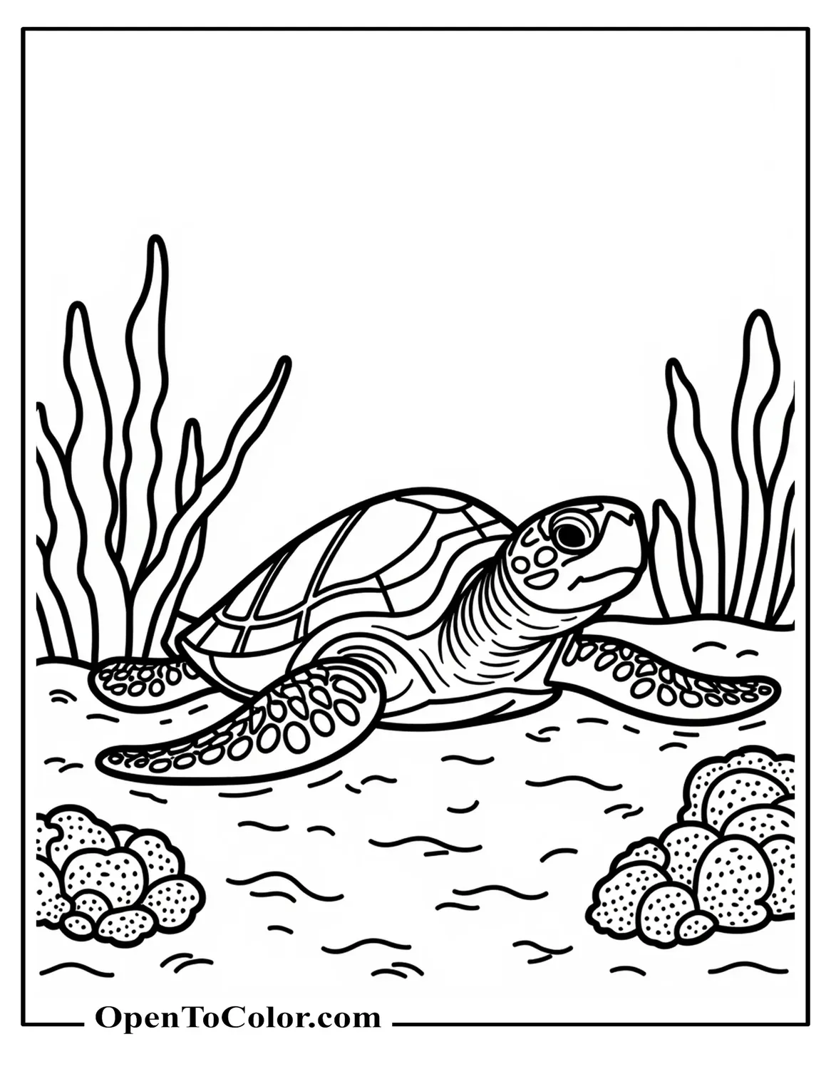 Realistic Sea Turtle Coloring Sheet PDF Resting On The Ocean Floor Among Textured Corals