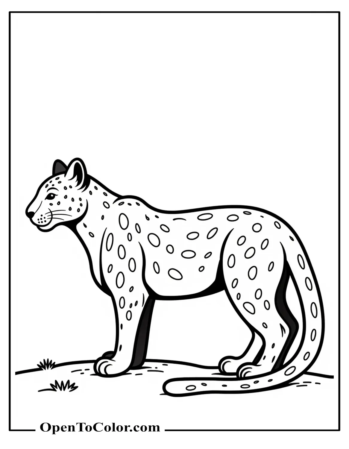 Free Coloring Sheet: Simple Outline Jaguar Standing in Profile on Flat Ground