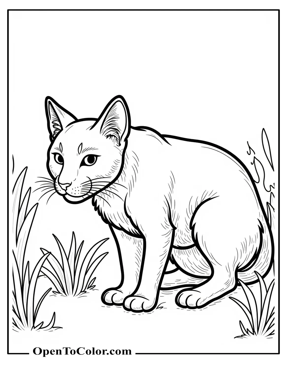 A Wild Cat Crouching In Tall Grass Coloring Page PDF