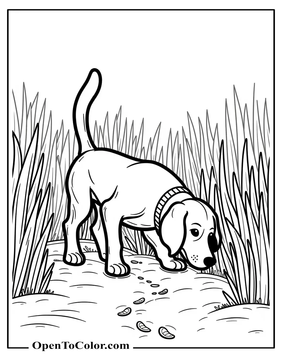 Beagle Tracking A Scent In Tall Grass, Nose Down, Faint Boot-Print Trail On The Ground, Coloring Page PDF