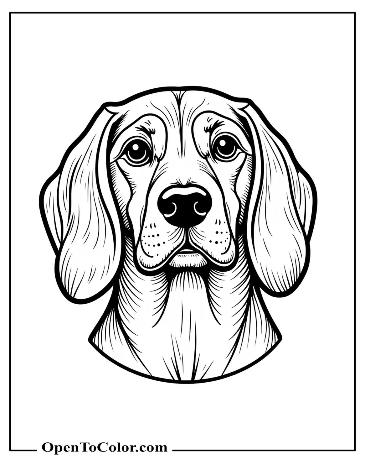 Realistic Beagle Head Portrait Front View With Detailed Fur Texture And Whiskers, Printable Coloring Page