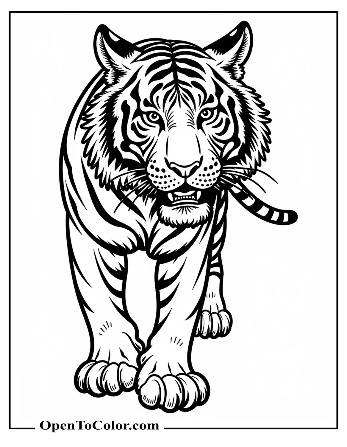 Realistic Tiger Coloring Page For Adults, Printable, Intricate Fur Lines And Muscle Detail