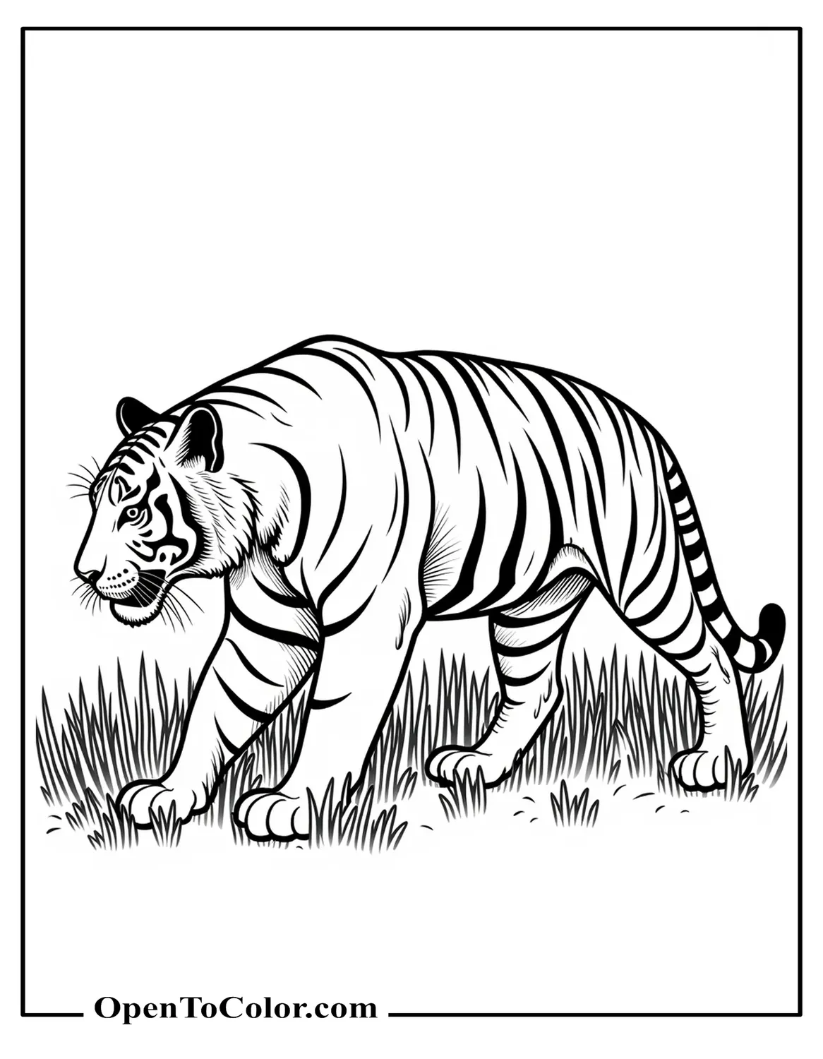 Free Coloring Sheet of a Realistic Tiger Walking Through Tall Grass, Side View