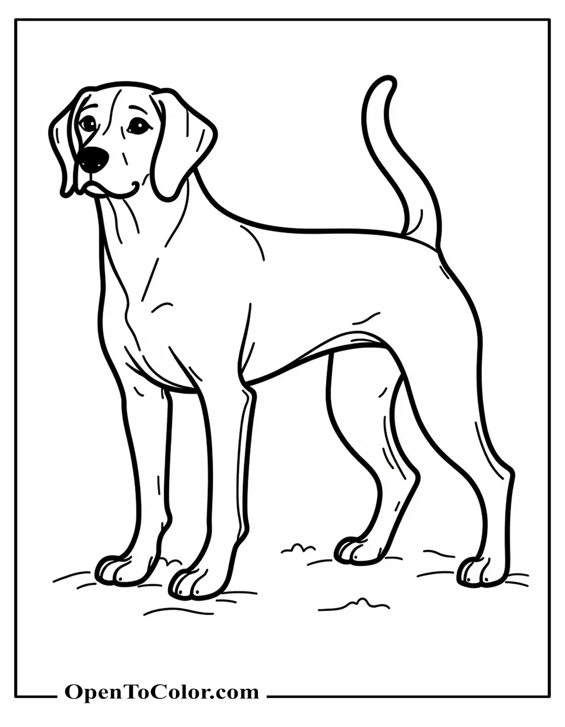 Simple Beagle Outline Standing Side View With A Minimal Ground Line Coloring Sheet PDF