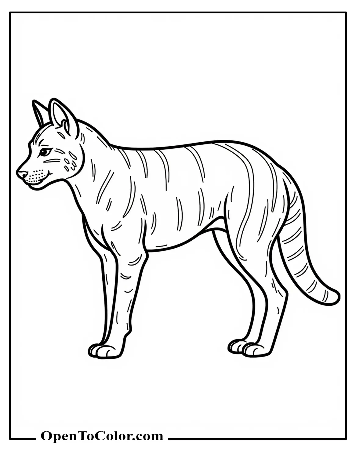Free Coloring Page of Tasmanian Tiger Thylacine Side View with Back Stripes and Long Tail