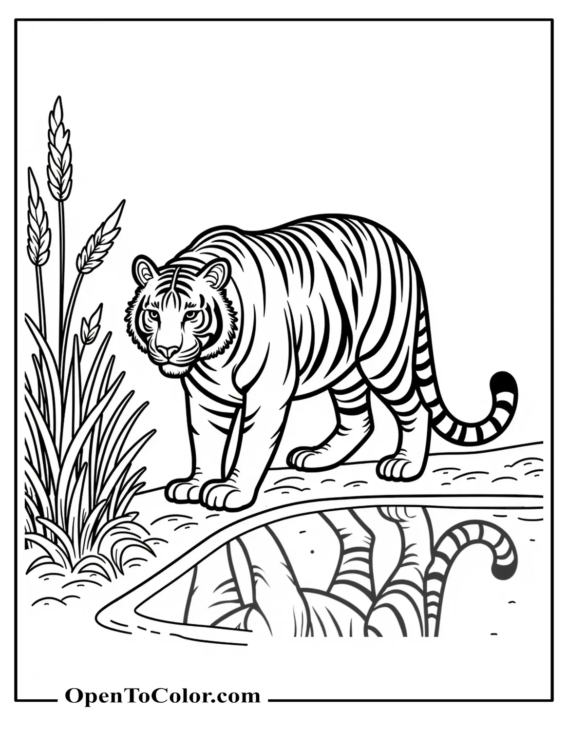 Tiger animal coloring sheet PDF walking near a watering hole with reeds