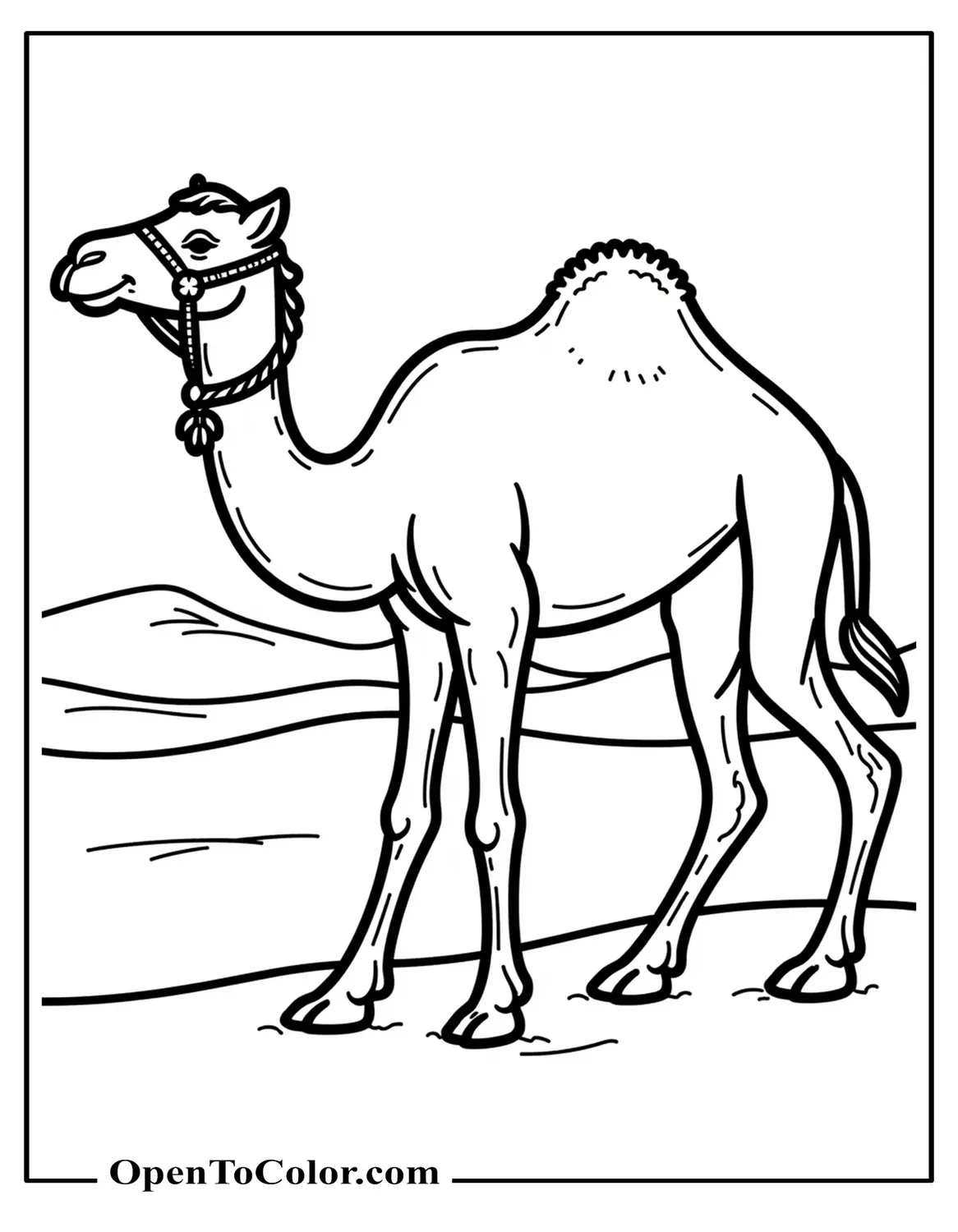 Free Coloring Page of Adult Camel Standing Tall with Decorated Bridle, Minimal Dune Backdrop