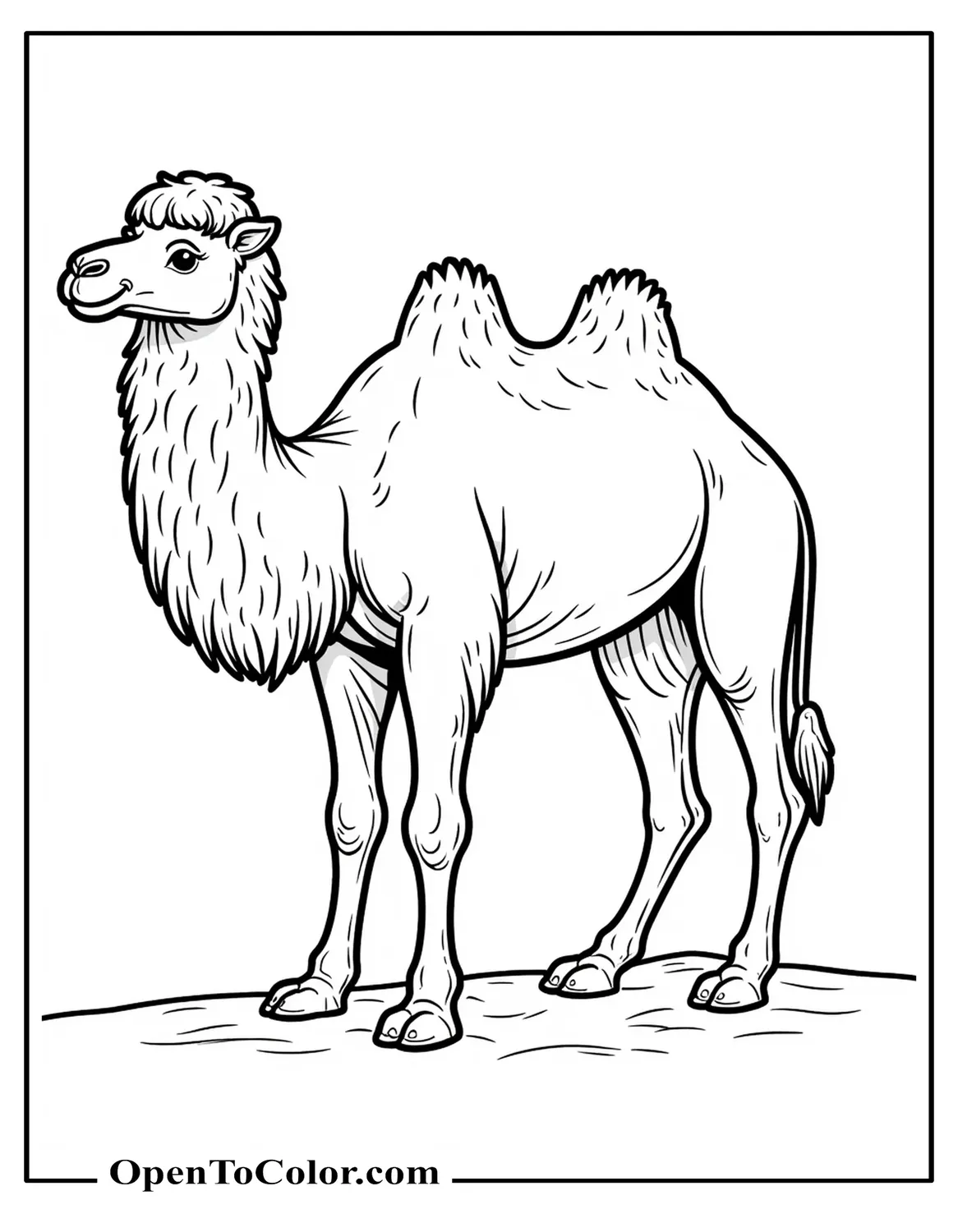 Bactrian Camel Coloring Page PDF With Two Humps And Shaggy Fur, Side View On Flat Sand