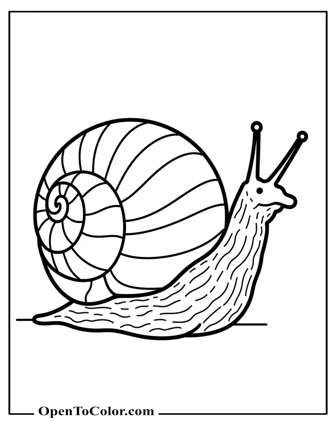 Free Coloring Page of Snail Side View with Large Smooth Shapes and a Single Ground Line
