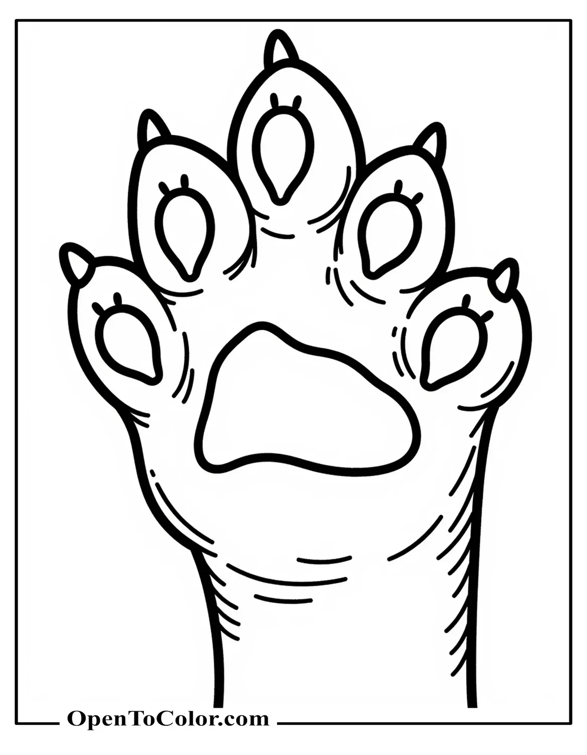 Lion paw close-up underside coloring sheet with pads and claws retracted PDF