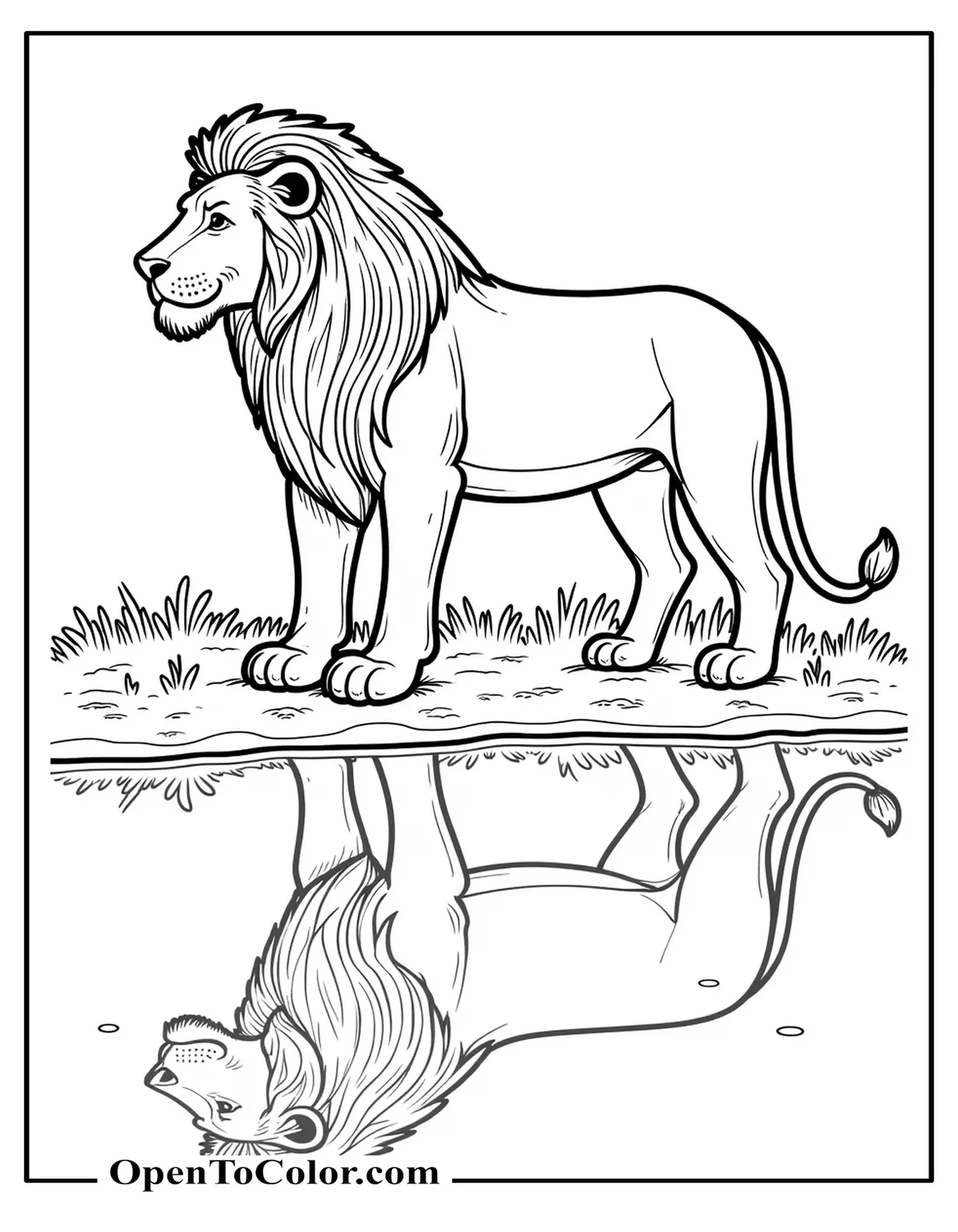 Lion standing by a waterhole with its reflection below, printable coloring sheet.