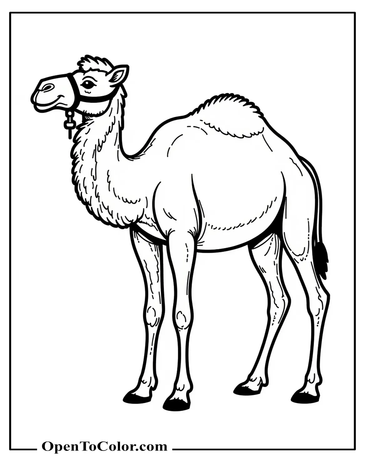 Printable Realistic Dromedary Camel Side Profile Coloring Page With Halter, Subtle Fur Detail