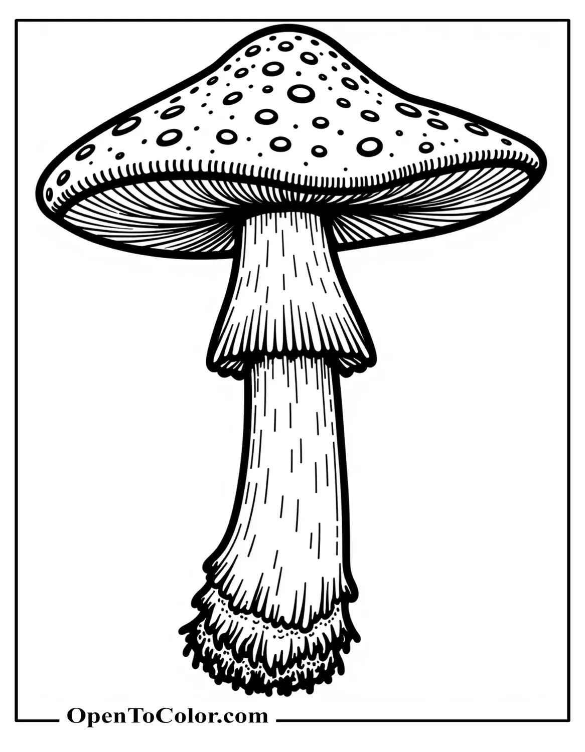 Free Realistic Fly Agaric Mushroom Coloring Sheet Close Up Textured Cap Gills and Ring on Stem