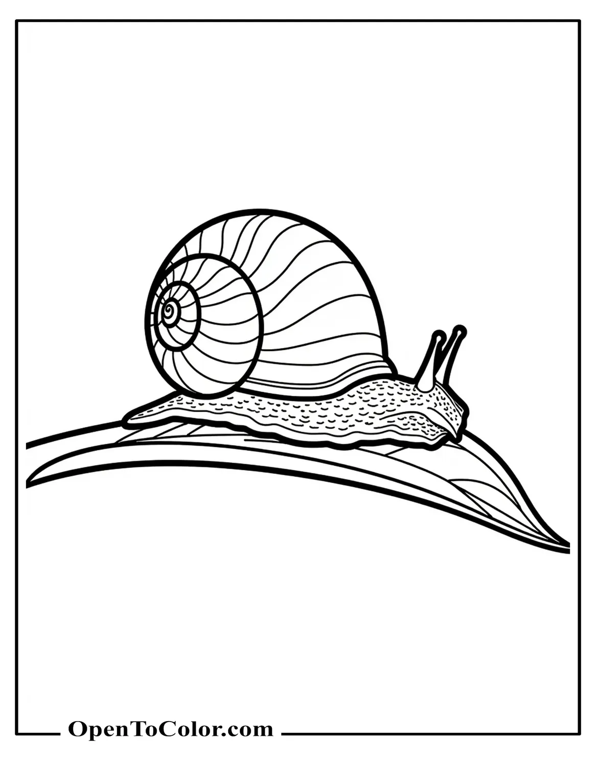 Free Realistic Snail Crawling On A Leaf Side View Detailed Tentacles And Ridges Coloring Sheet