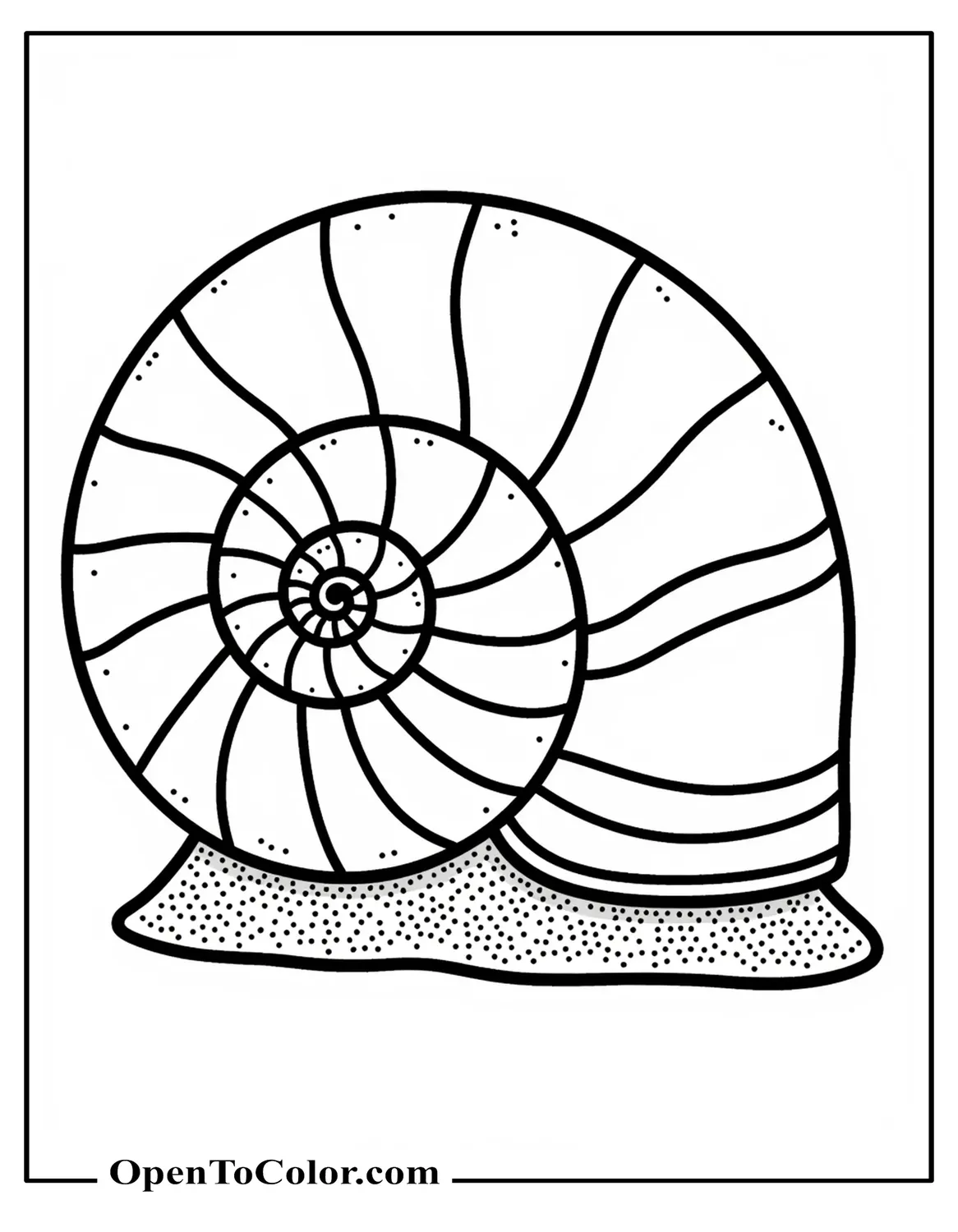 Close up spiral snail shell coloring page with sectioned bands and light texture, printable.