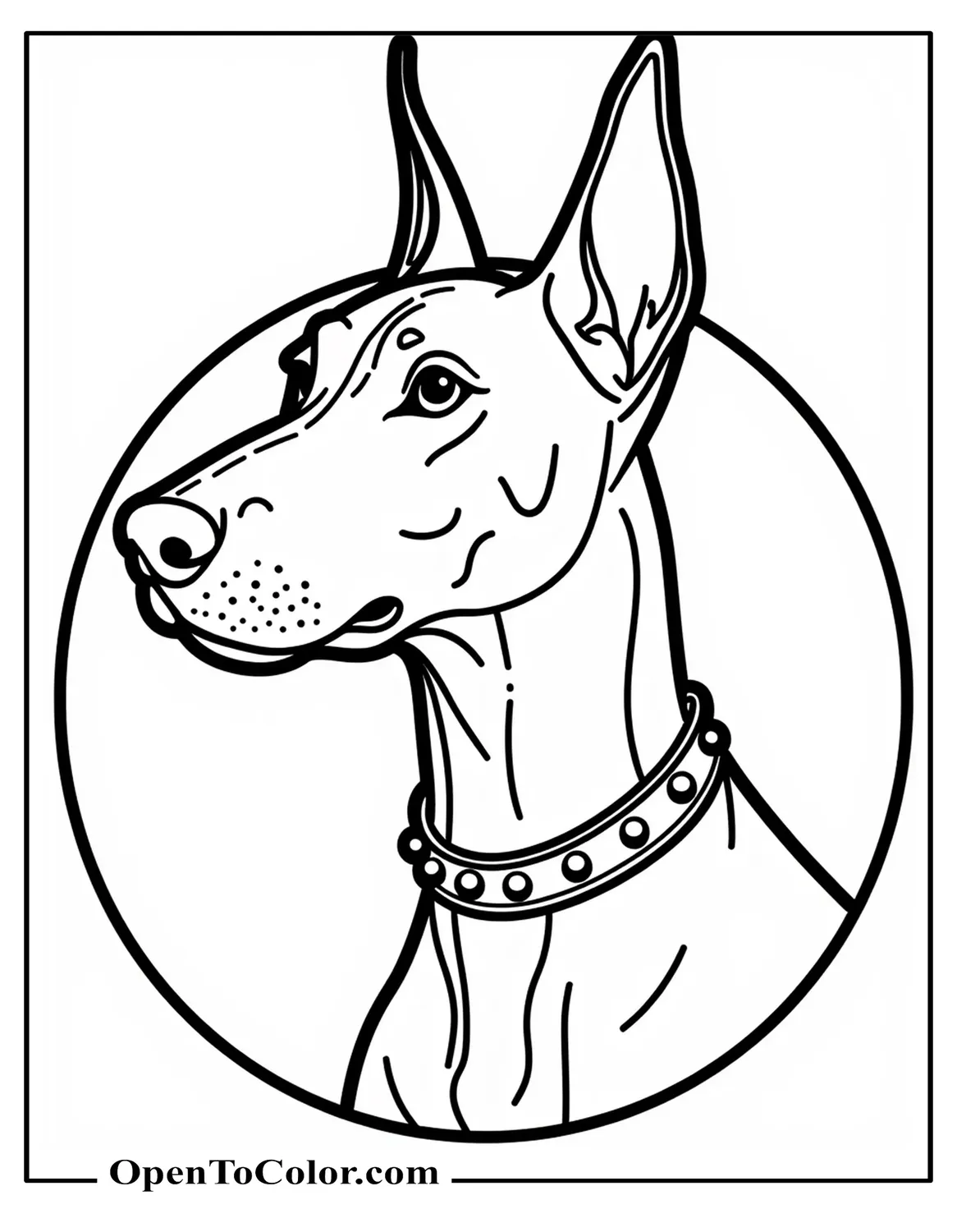 Free Coloring Sheet of Detailed Close Up Doberman Head Portrait Three Quarter Angle Studded Collar and Circular Frame