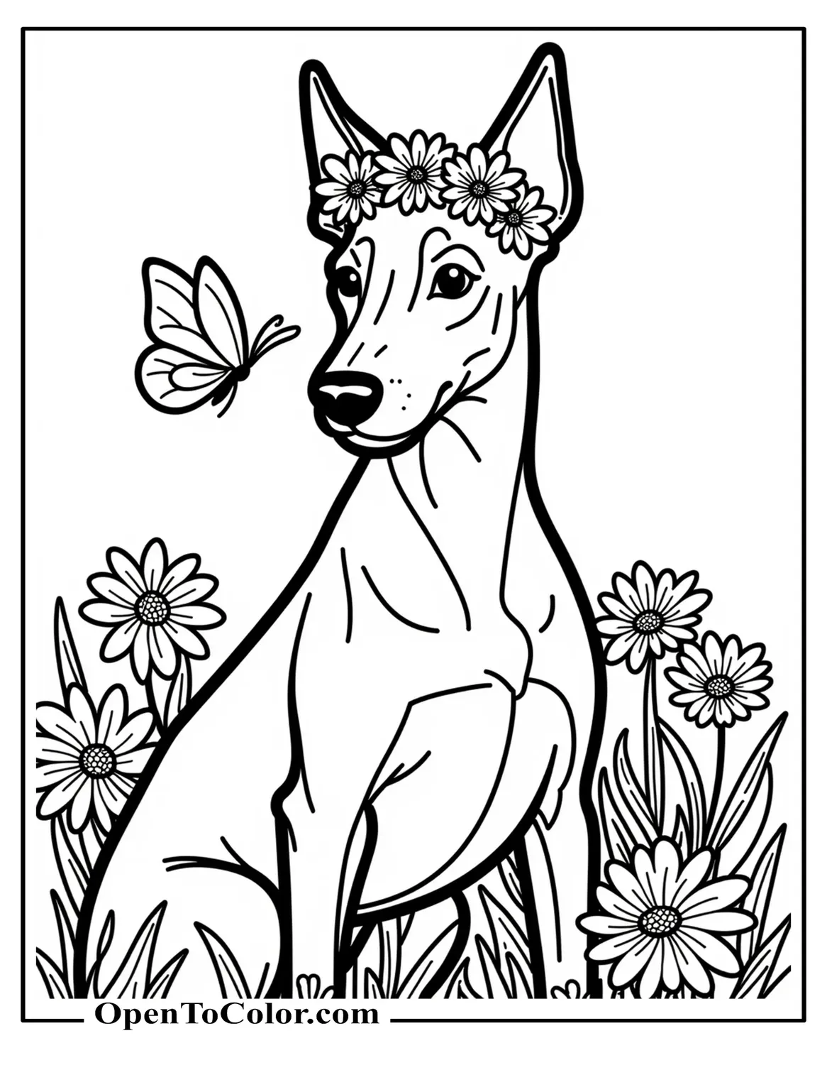 Doberman wearing a flower crown sitting among big daisies with a butterfly near nose, printable coloring sheet.