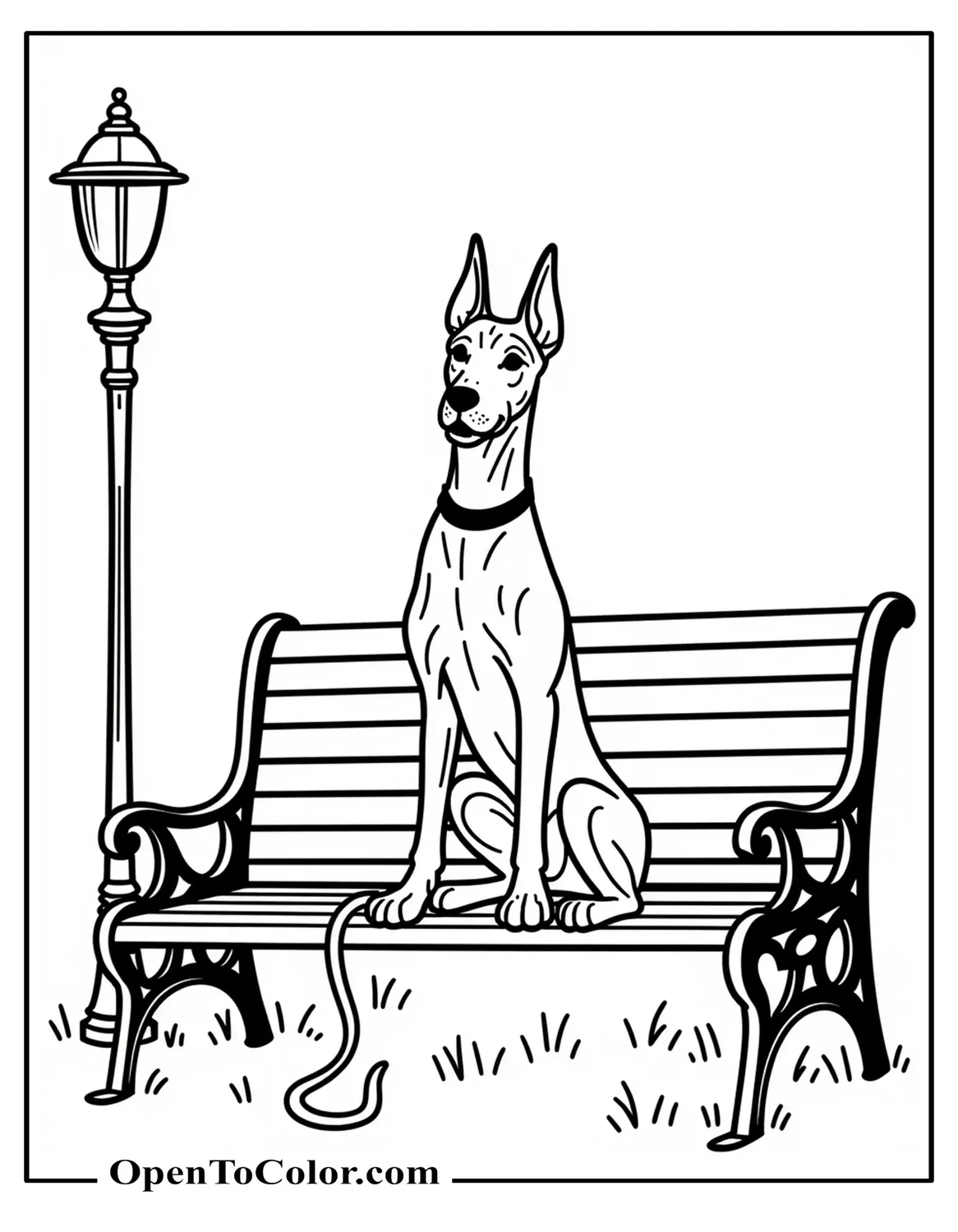 Printable coloring sheet of a Doberman sitting on a park bench with a leash draped over the armrest and a lamp post silhouette.