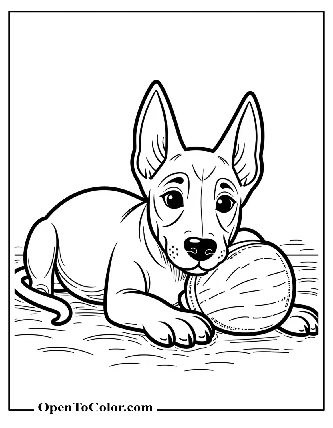 Doberman puppy lying on belly with oversized paws, coloring sheet, PDF, chew toy, and folded blanket nearby.